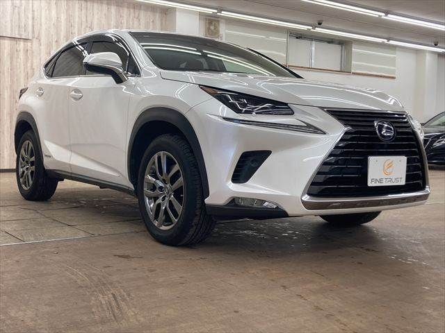 TOYOTA LEXUS NX300h 2018