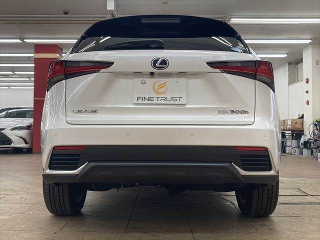 TOYOTA LEXUS NX300h 2018