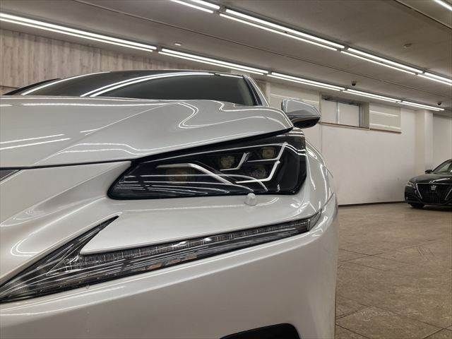 TOYOTA LEXUS NX300h 2018