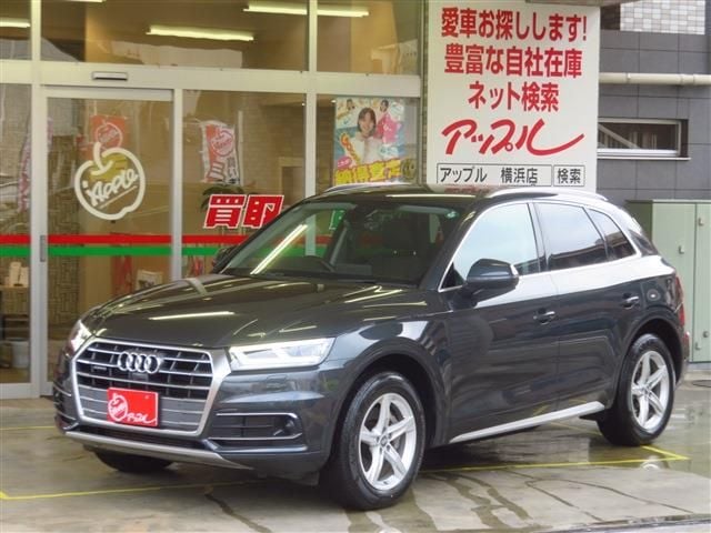 AUDI AUDI Q5 2019
