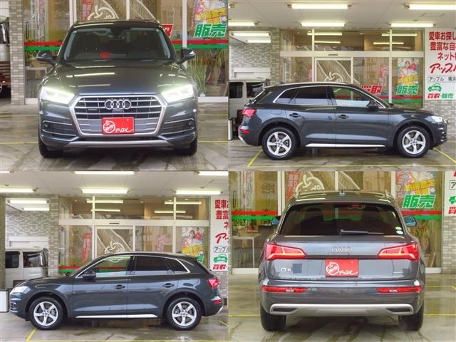 AUDI AUDI Q5 2019
