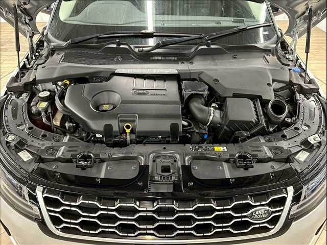 ROVER ROVER RANGE ROVER EVOGUE 2019