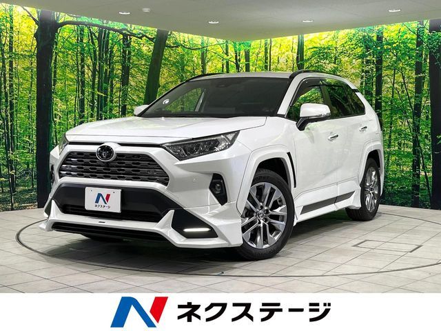 TOYOTA RAV4 4WD 2024