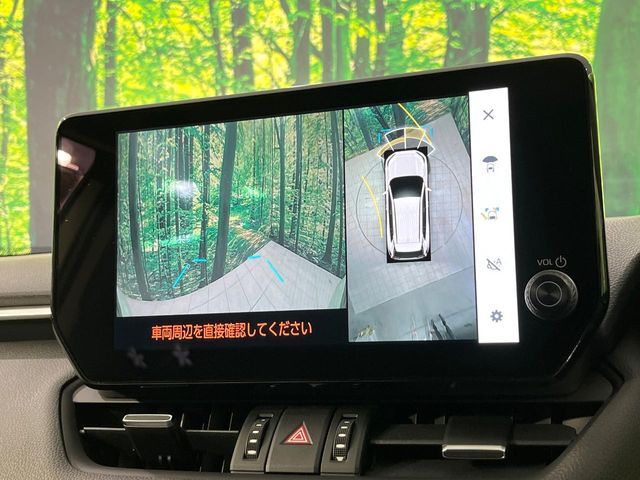 TOYOTA RAV4 4WD 2024