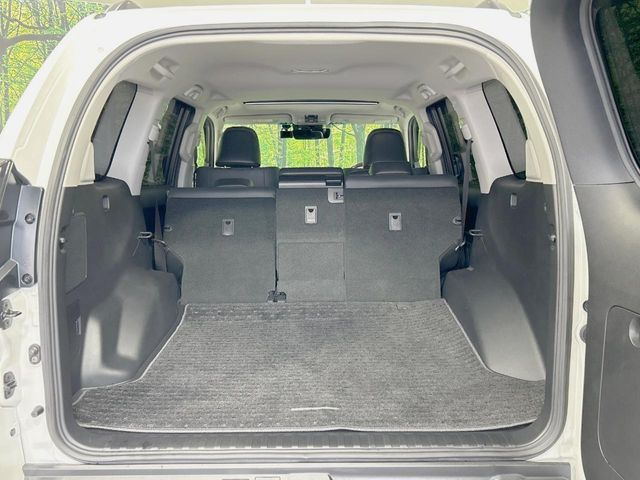 TOYOTA LANDCRUISER PRADO 2021