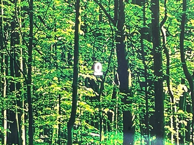 MAZDA MAZDA3 FASTBACK 2021