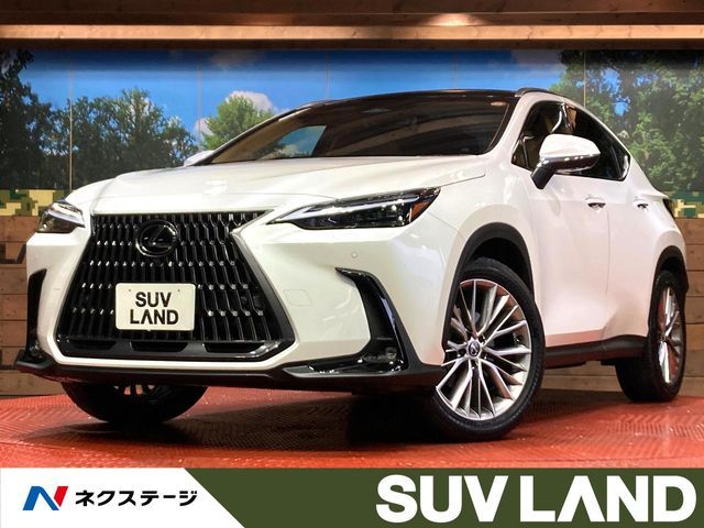 TOYOTA LEXUS NX250 2023
