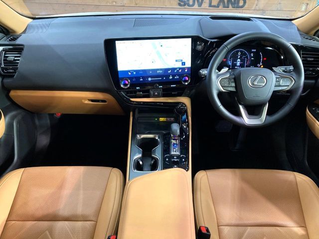 TOYOTA LEXUS NX250 2023