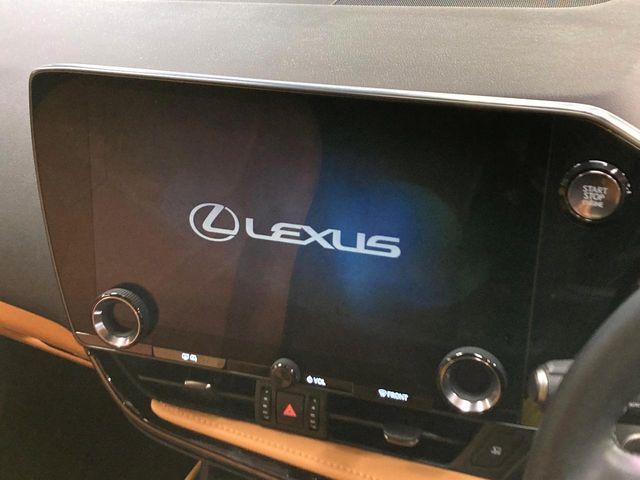 TOYOTA LEXUS NX250 2023