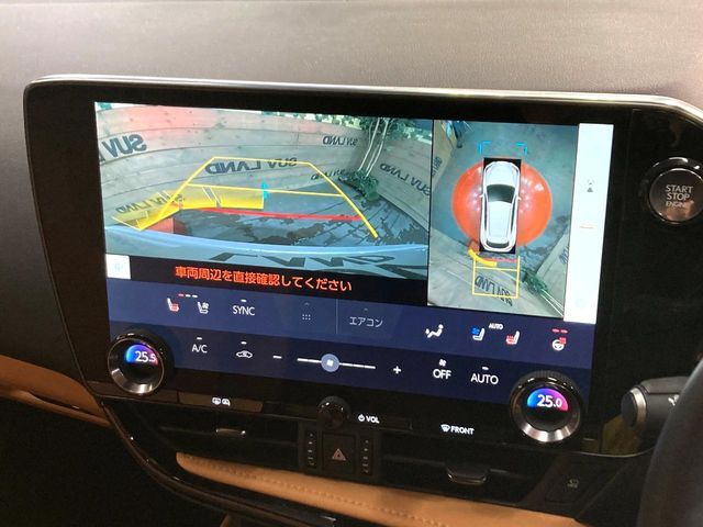 TOYOTA LEXUS NX250 2023