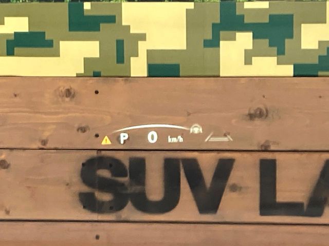 TOYOTA LEXUS NX250 2023