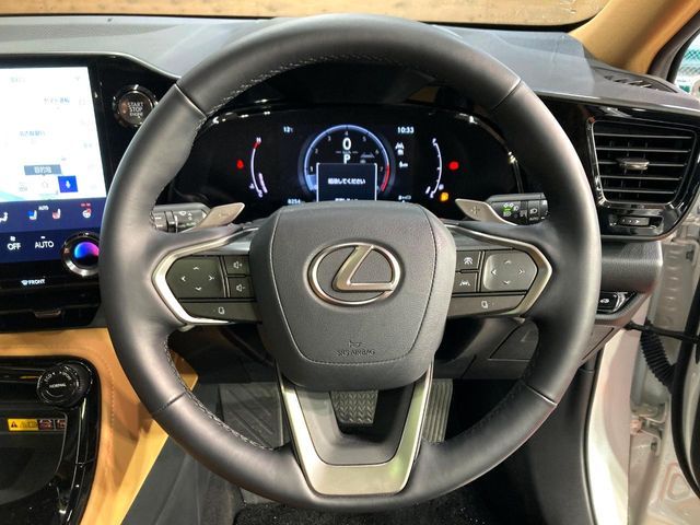 TOYOTA LEXUS NX250 2023