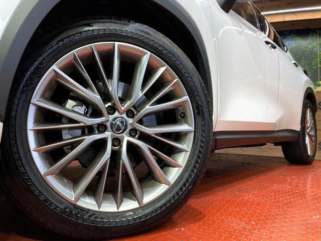 TOYOTA LEXUS NX250 2023