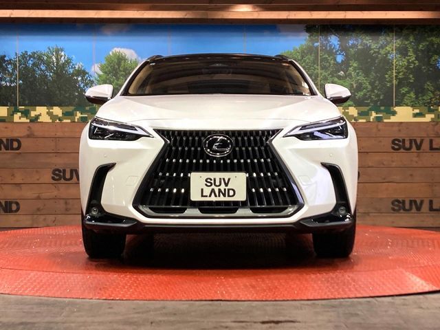 TOYOTA LEXUS NX250 2023
