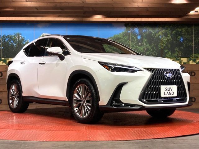 TOYOTA LEXUS NX250 2023