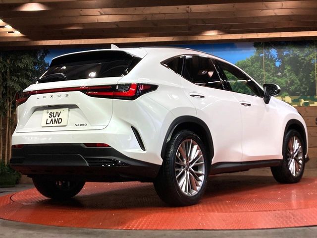 TOYOTA LEXUS NX250 2023