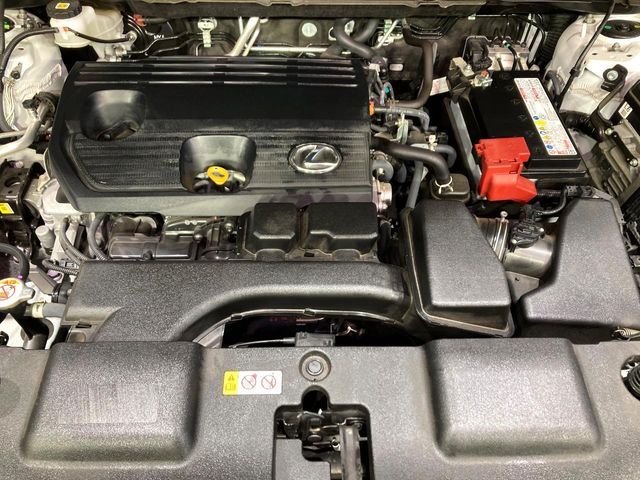 TOYOTA LEXUS NX250 2023