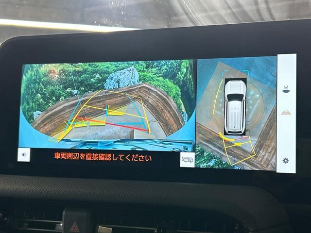 TOYOTA LANDCRUISER 250 2024