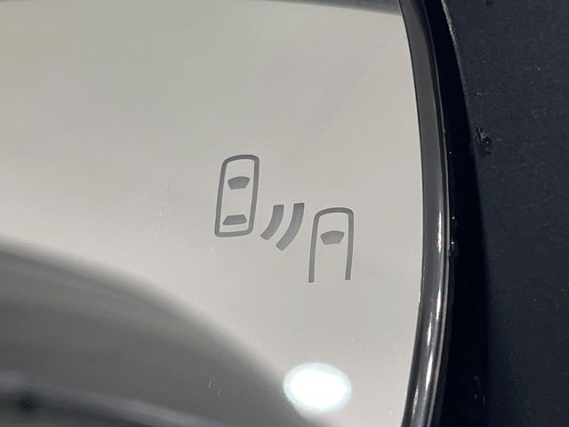 TOYOTA RAIZE HYBRID 2024