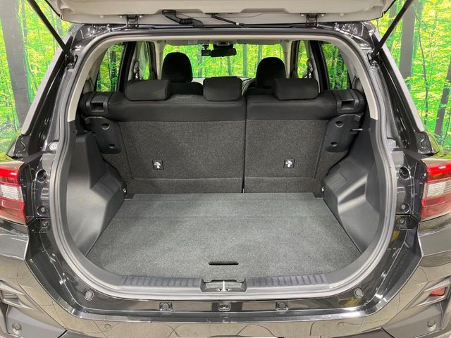 TOYOTA RAIZE HYBRID 2024