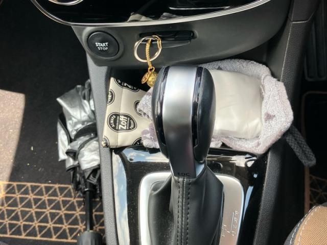 RENAULT RENAULT LUTECIA 2016