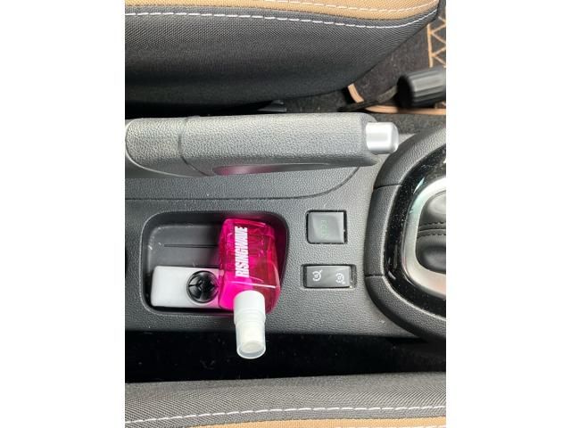 RENAULT RENAULT LUTECIA 2016