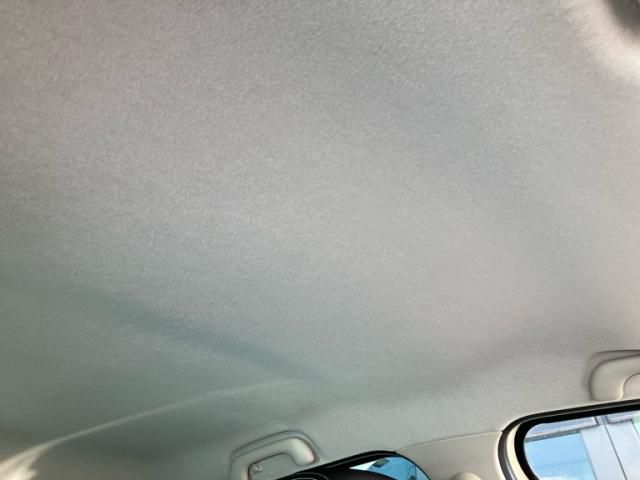 RENAULT RENAULT LUTECIA 2016