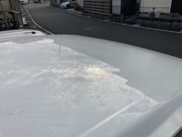 NISSAN SERENA  WG 2009