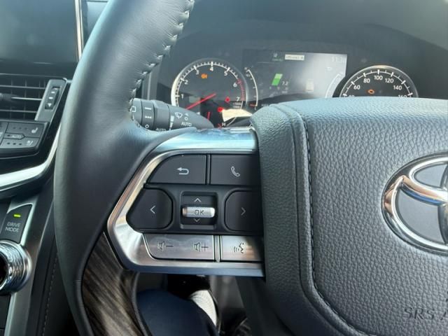 TOYOTA LANDCRUISER wagon 2024