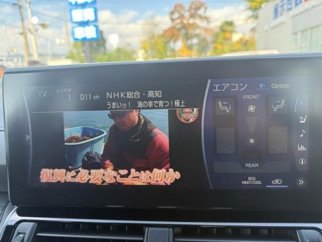 TOYOTA LANDCRUISER wagon 2024