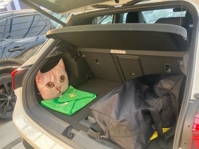 VOLKSWAGEN VOLKSWAGEN T-Roc 2021