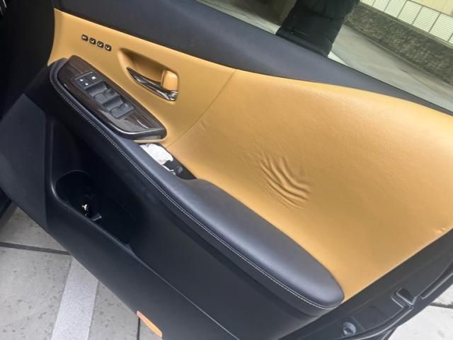 TOYOTA LEXUS HS250h 2013