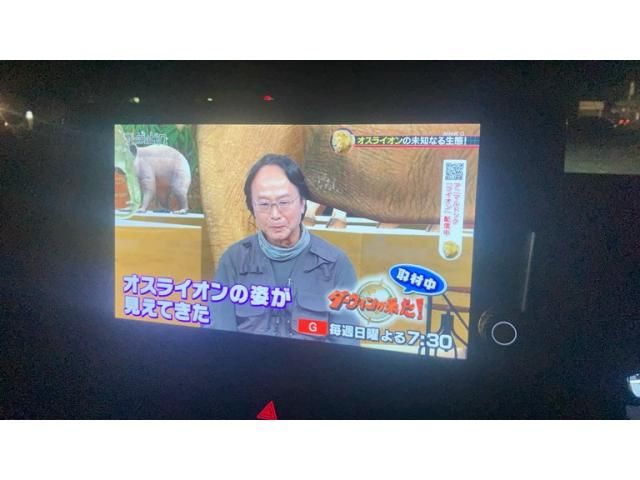 TOYOTA RAV4 4WD 2023