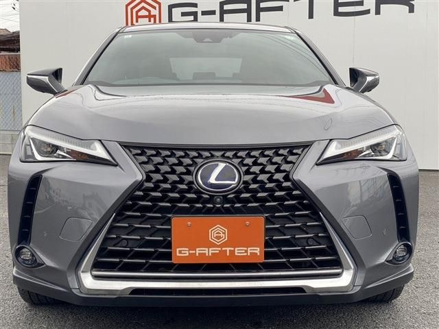 TOYOTA LEXUS UX250h 2019