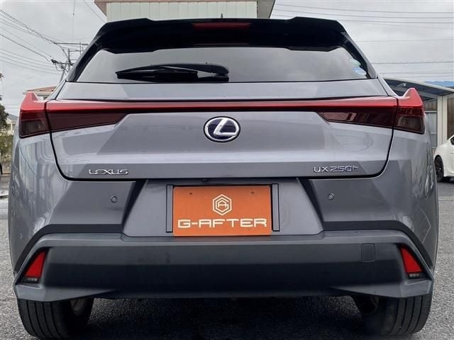 TOYOTA LEXUS UX250h 2019
