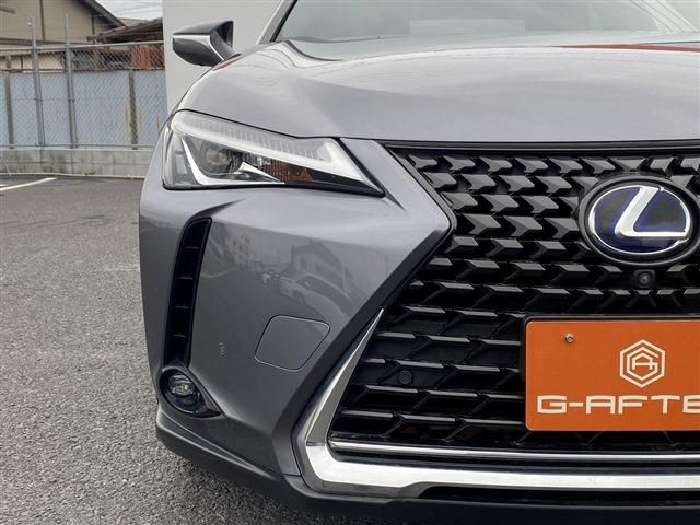 TOYOTA LEXUS UX250h 2019
