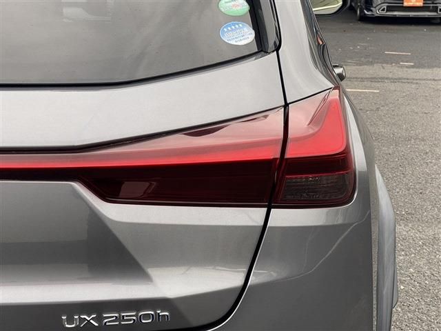 TOYOTA LEXUS UX250h 2019