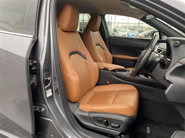 TOYOTA LEXUS UX250h 2019