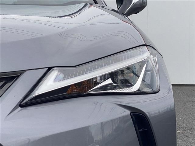 TOYOTA LEXUS UX250h 2019