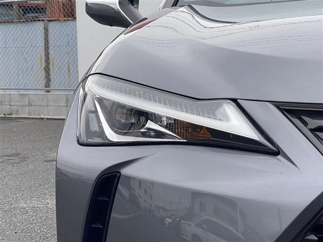 TOYOTA LEXUS UX250h 2019