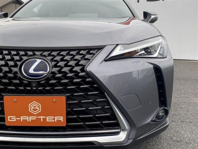 TOYOTA LEXUS UX250h 2019