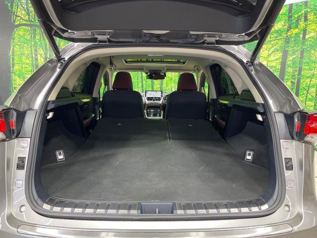 TOYOTA LEXUS NX300h AWD 2018