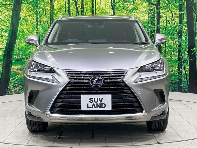 TOYOTA LEXUS NX300h AWD 2018