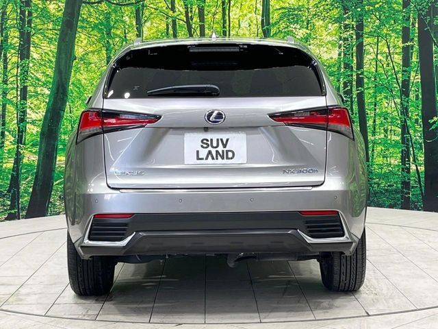 TOYOTA LEXUS NX300h AWD 2018