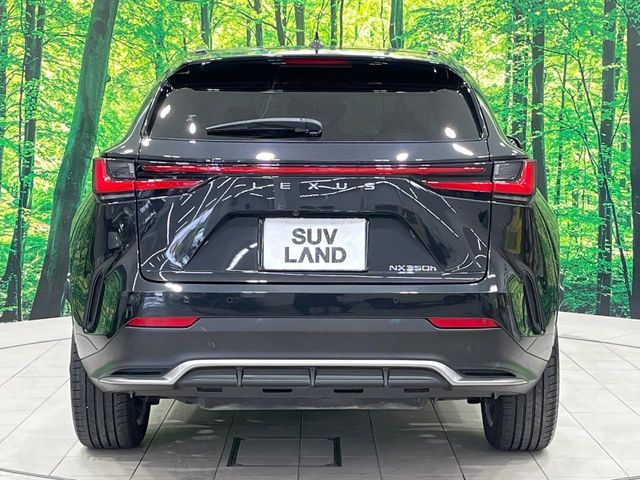 TOYOTA LEXUS NX350h 2022