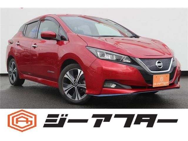 NISSAN LEAF 2020