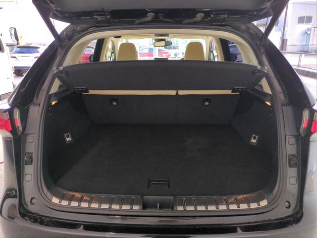 TOYOTA LEXUS NX200t 2015