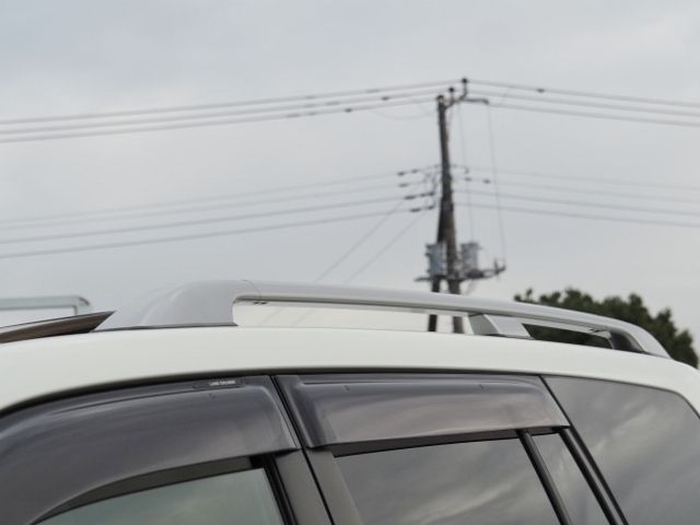 TOYOTA LANDCRUISER wagon 2021