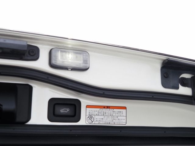 TOYOTA LANDCRUISER wagon 2021