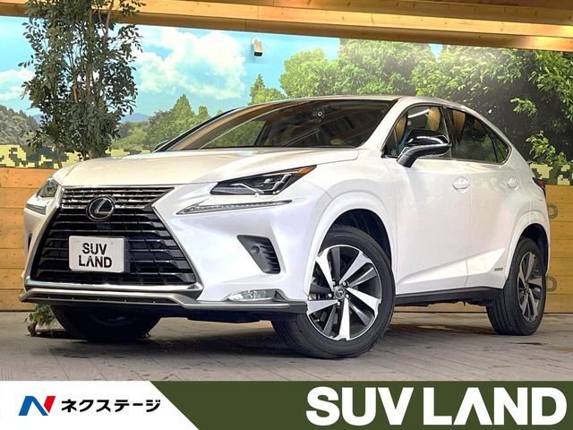 TOYOTA LEXUS NX300h 2021